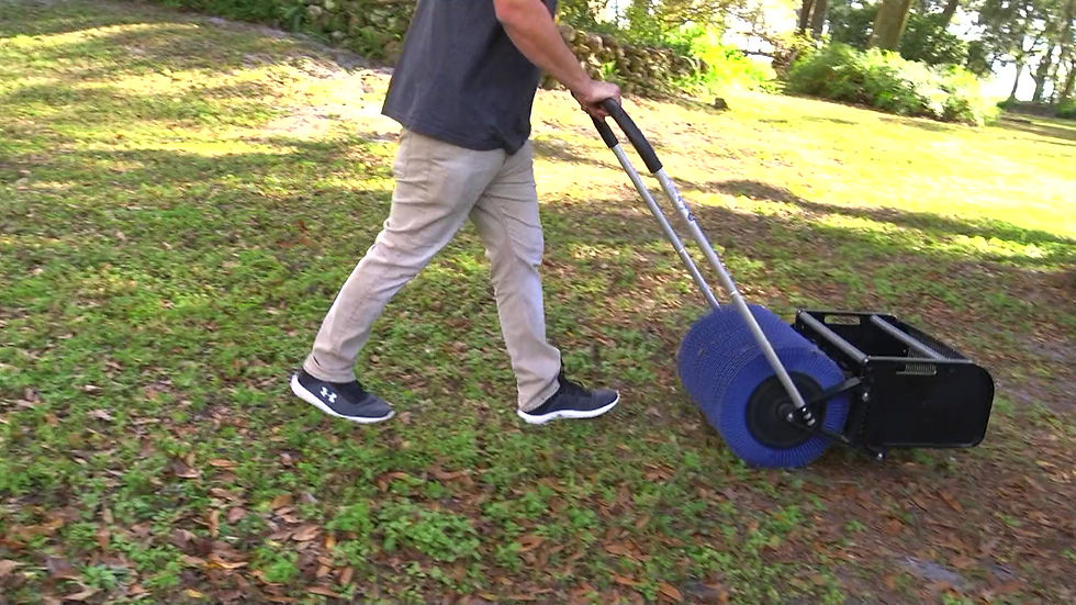 Miniaturbild: 18" Push Small Acorn Picker