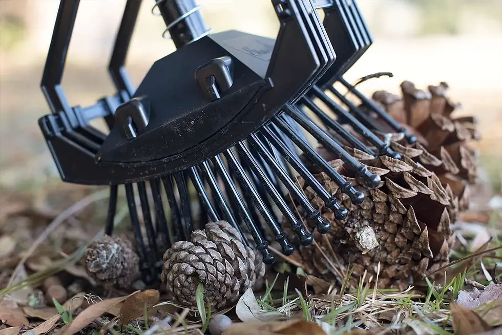 Miniaturbild: Stab-A-Nut Magnolia/Pine Cone Harvester