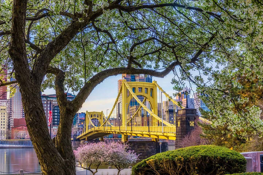 View of Clemente Bridge in Pittsburgh