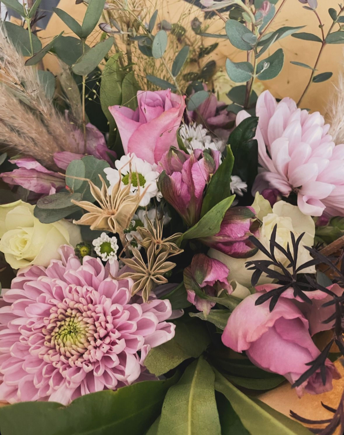 6 month subscription