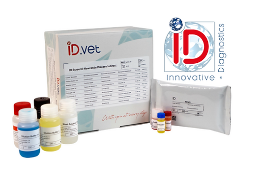 Your paragraph text (2).png