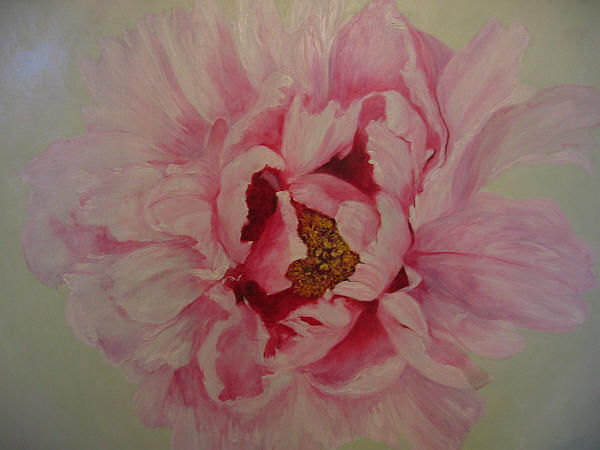 TREE PEONY.jpg