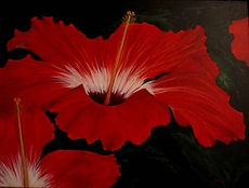 HIBISCUSES RED.jpg