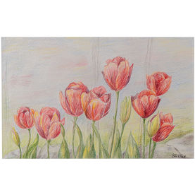 Tulpenfeld mit Steinen