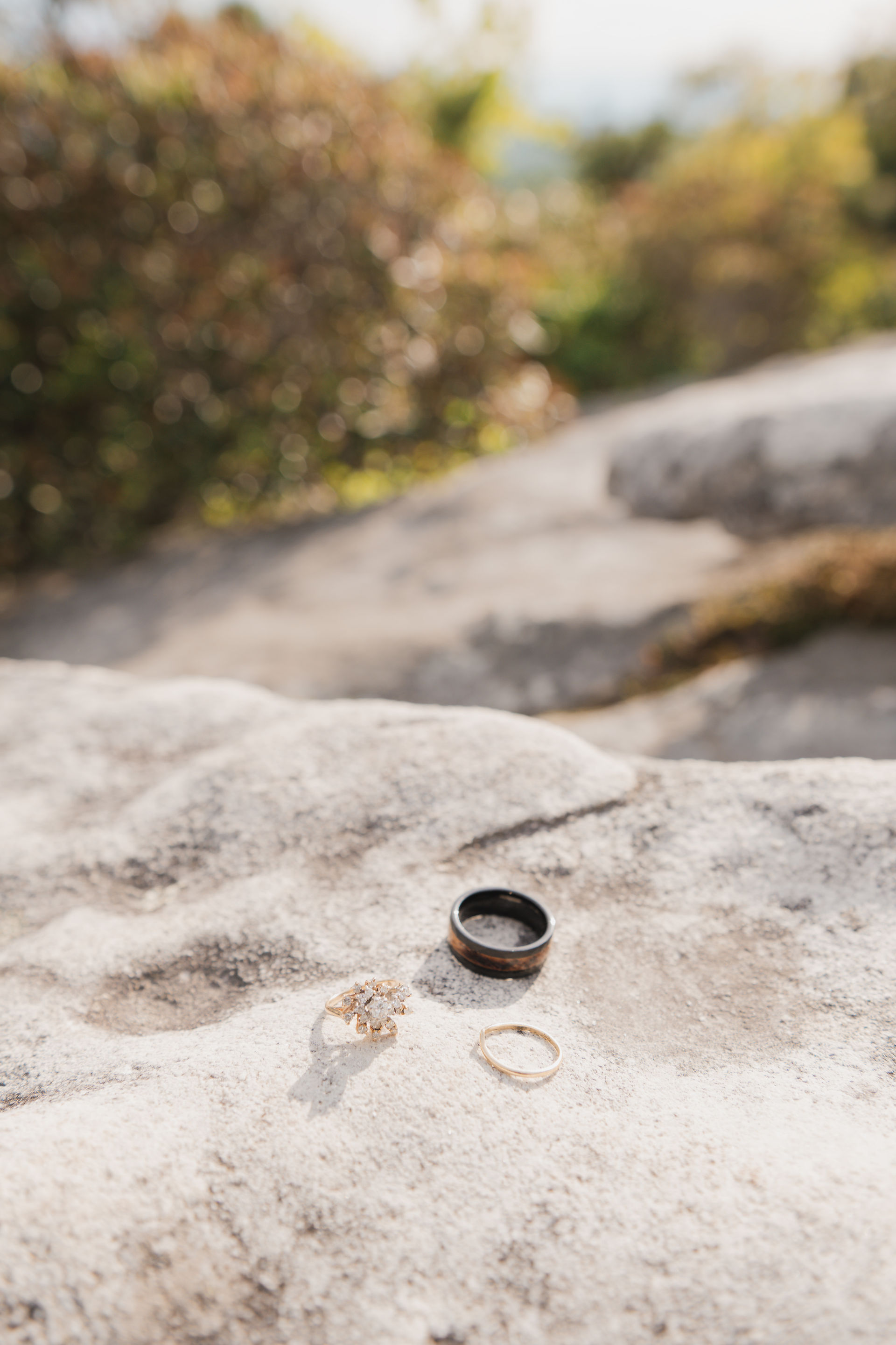 wedding rings on a rock