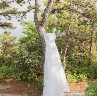 a wedding dress hanging from a tree