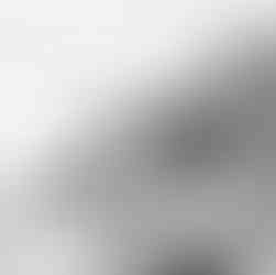 couple playing in the koi pond