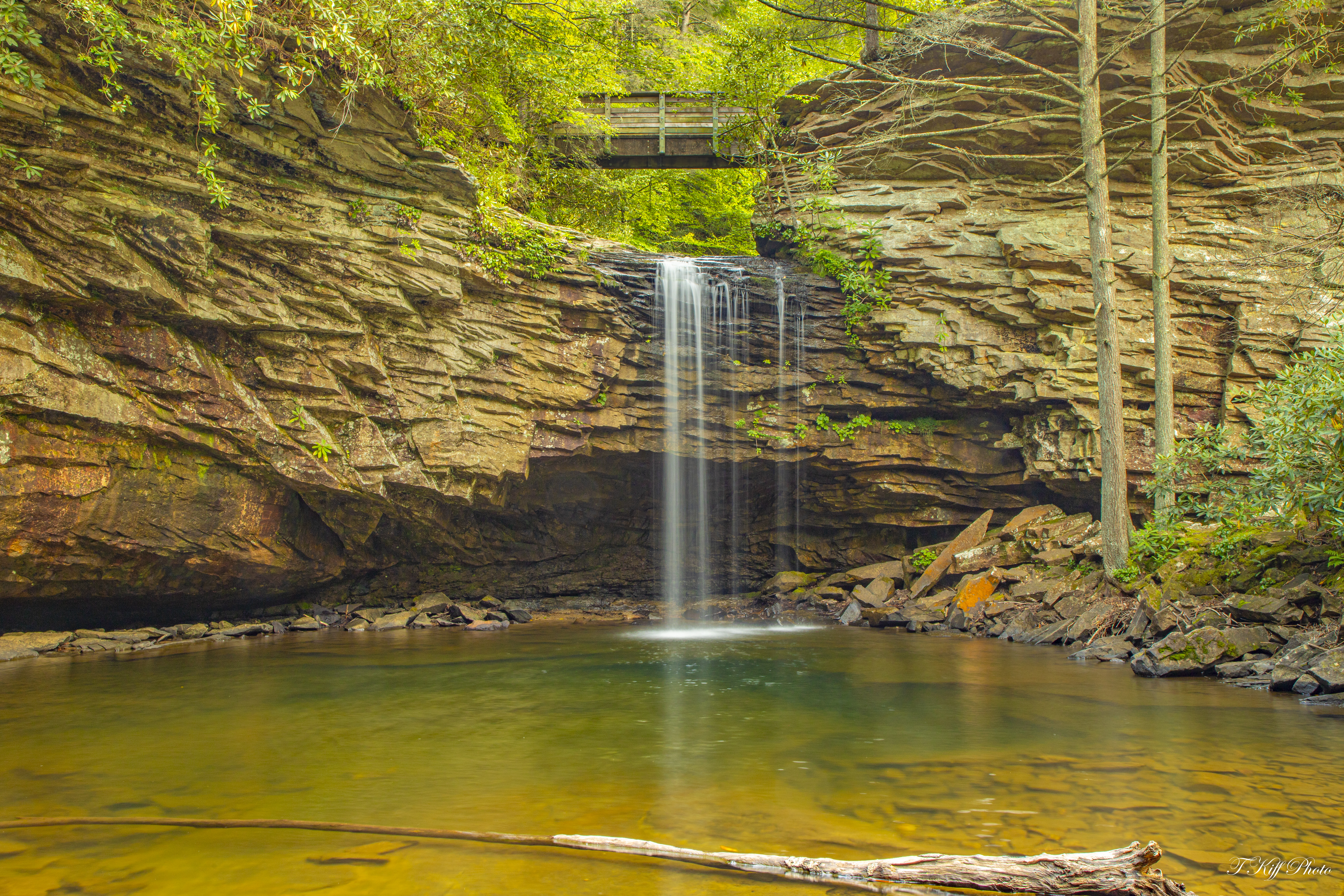 A cascading waterfall lazily pours into a small pond - wooden walking bridge crosses over it behind the trees. 