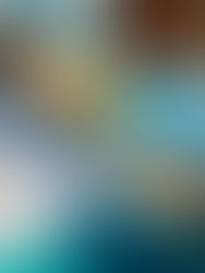 How to Choose the Right Metal Print Finish