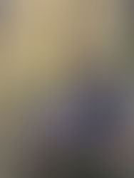 Tom Kiffmeyer sits on a rock in the woods with his trusty camera