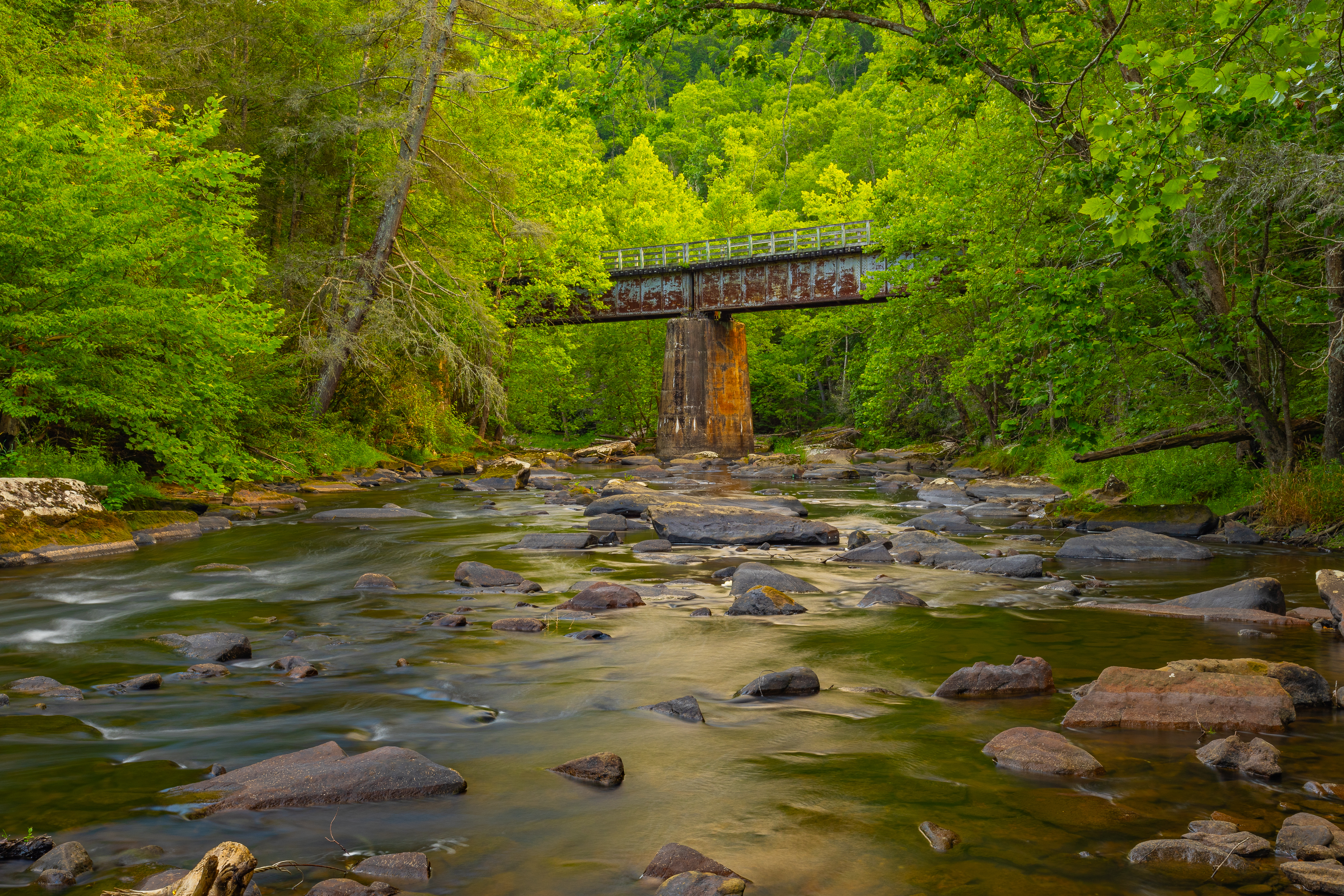 A river runs down the center of the image, a degraded and rusty bridge crosses the river.  Trees surround. 