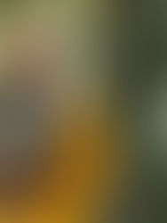 Photography on a Budget: 5 Smart Ways to Save Money Without Sacrificing Quality