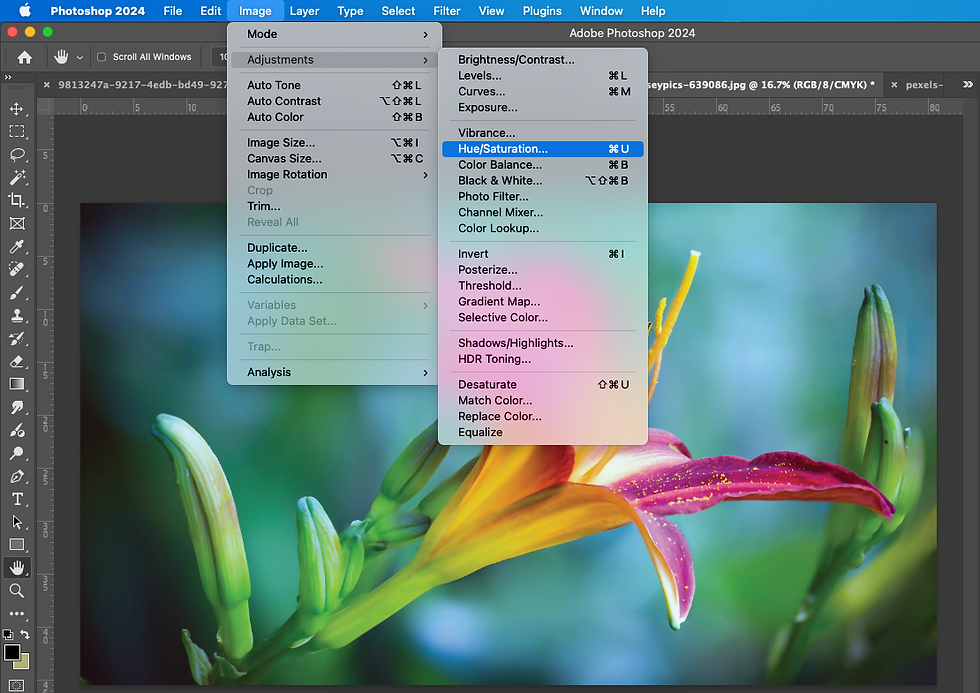 Photoshop 2024 interface showing a vibrant flower photo. The menu highlights "Hue/Saturation" option, indicating color adjustment.