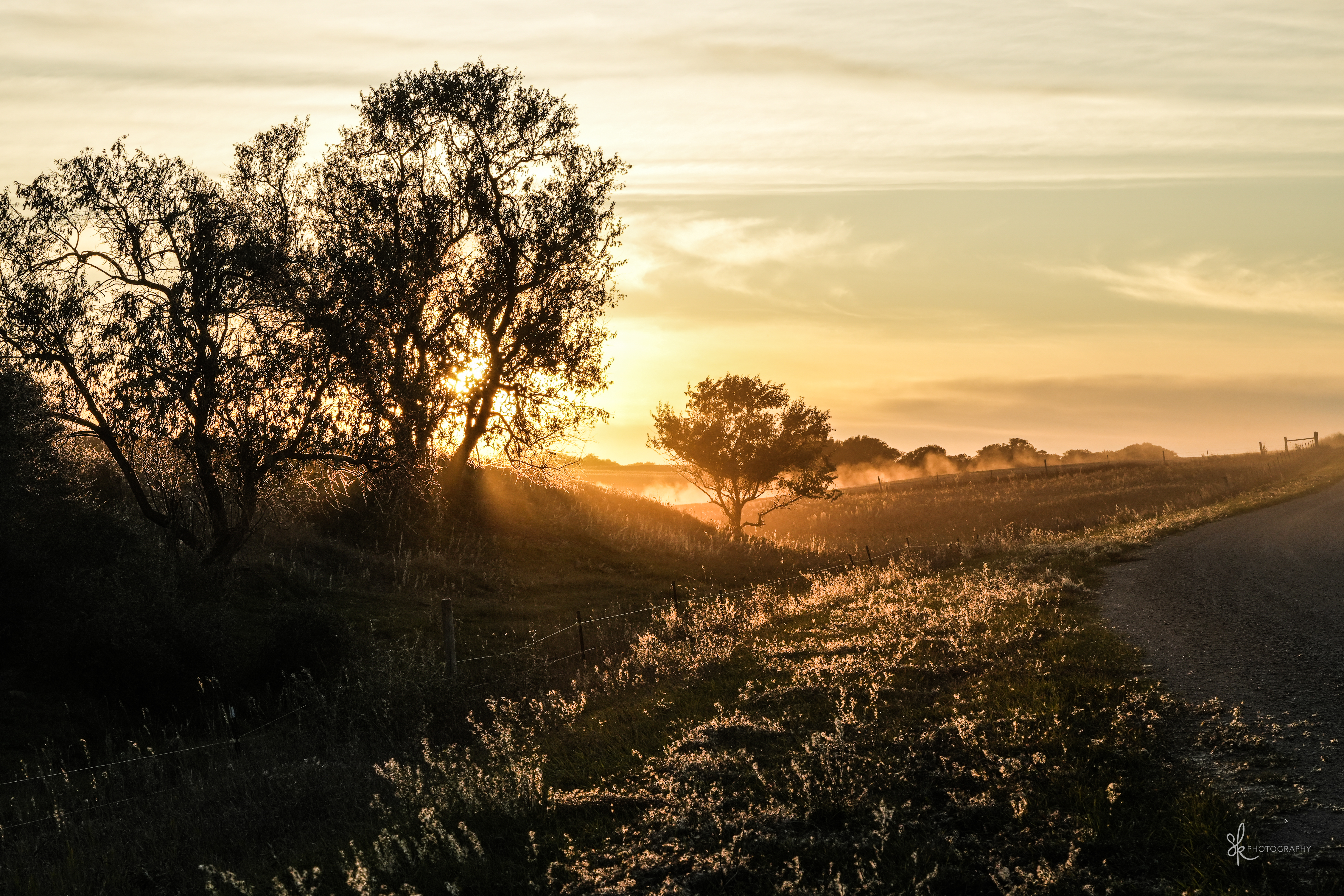Sunrise over a field through trees, sunlight illuminates patches of grass in the foreground.  Sprinklers run in the background.
