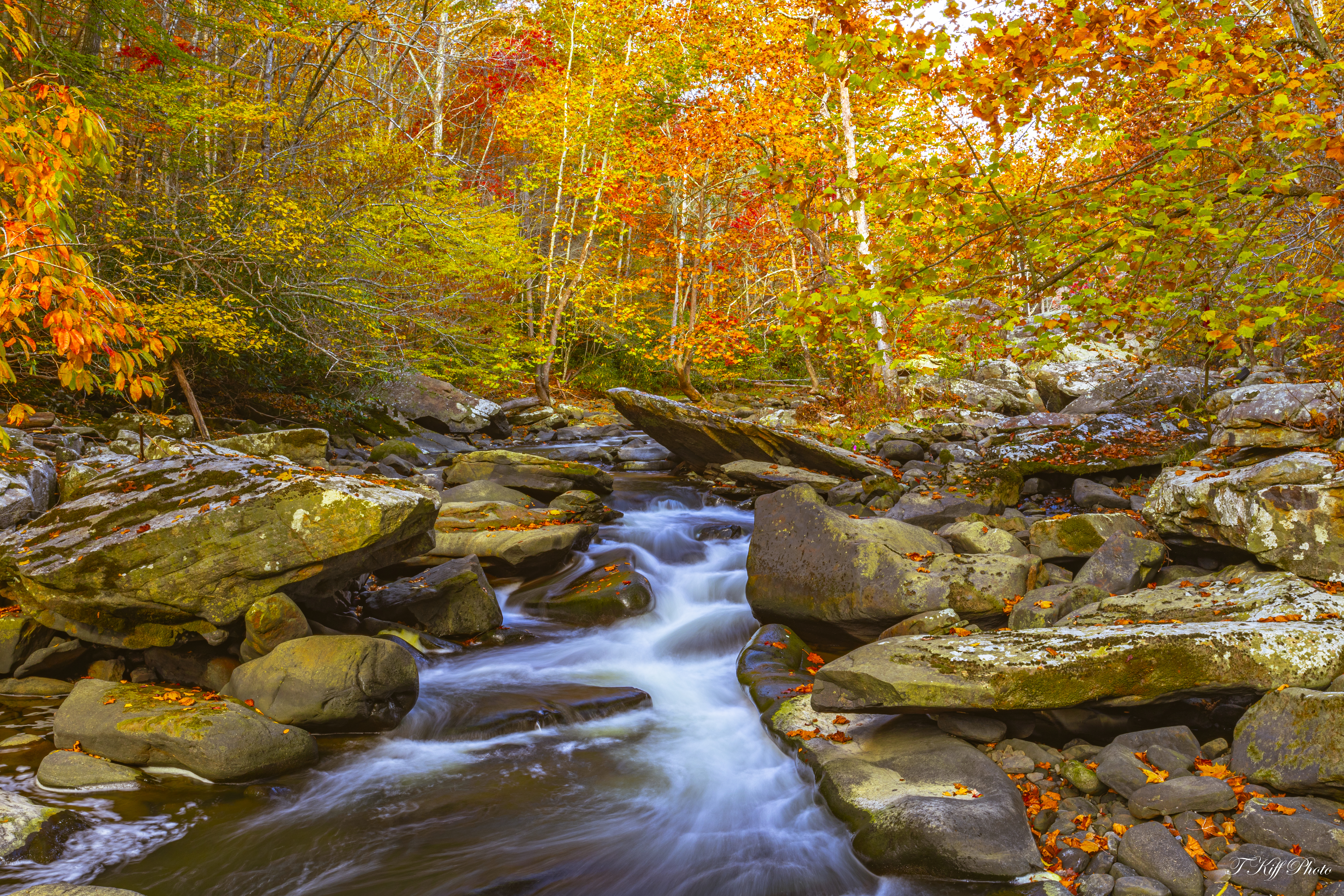 Fall colors explode in the trees, while a small stream cascades down rocks in the center.