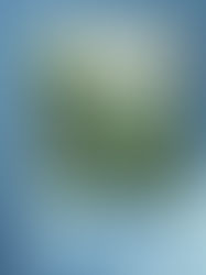 Choosing the Right Canvas Options: Giclée Gloss vs. Metallic Gloss, Edges & Float Frames