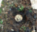 Sewer%20Cleanout%20Stock%20Picture_edite