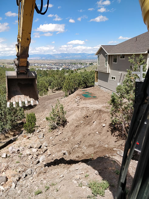 Green lids on a steep hillside.jpg