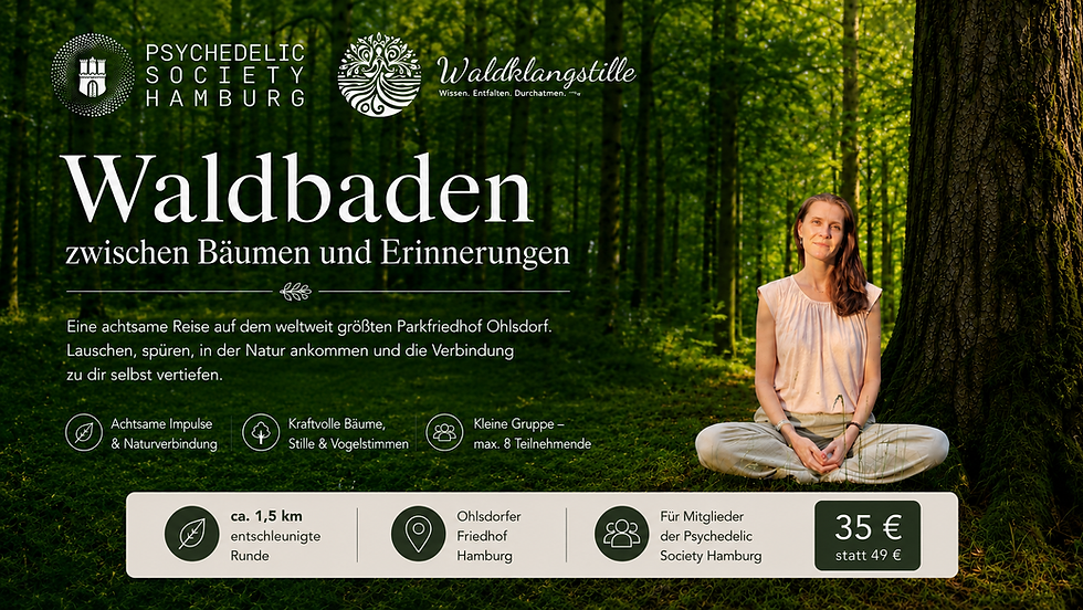 Waldbaden zwischen Bäumen und Erinnerungen - Natur - Raum Ohlstorfer Friedhof