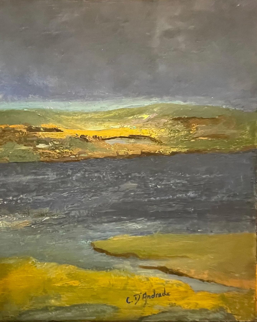 fleuve et marais ensoleillé
