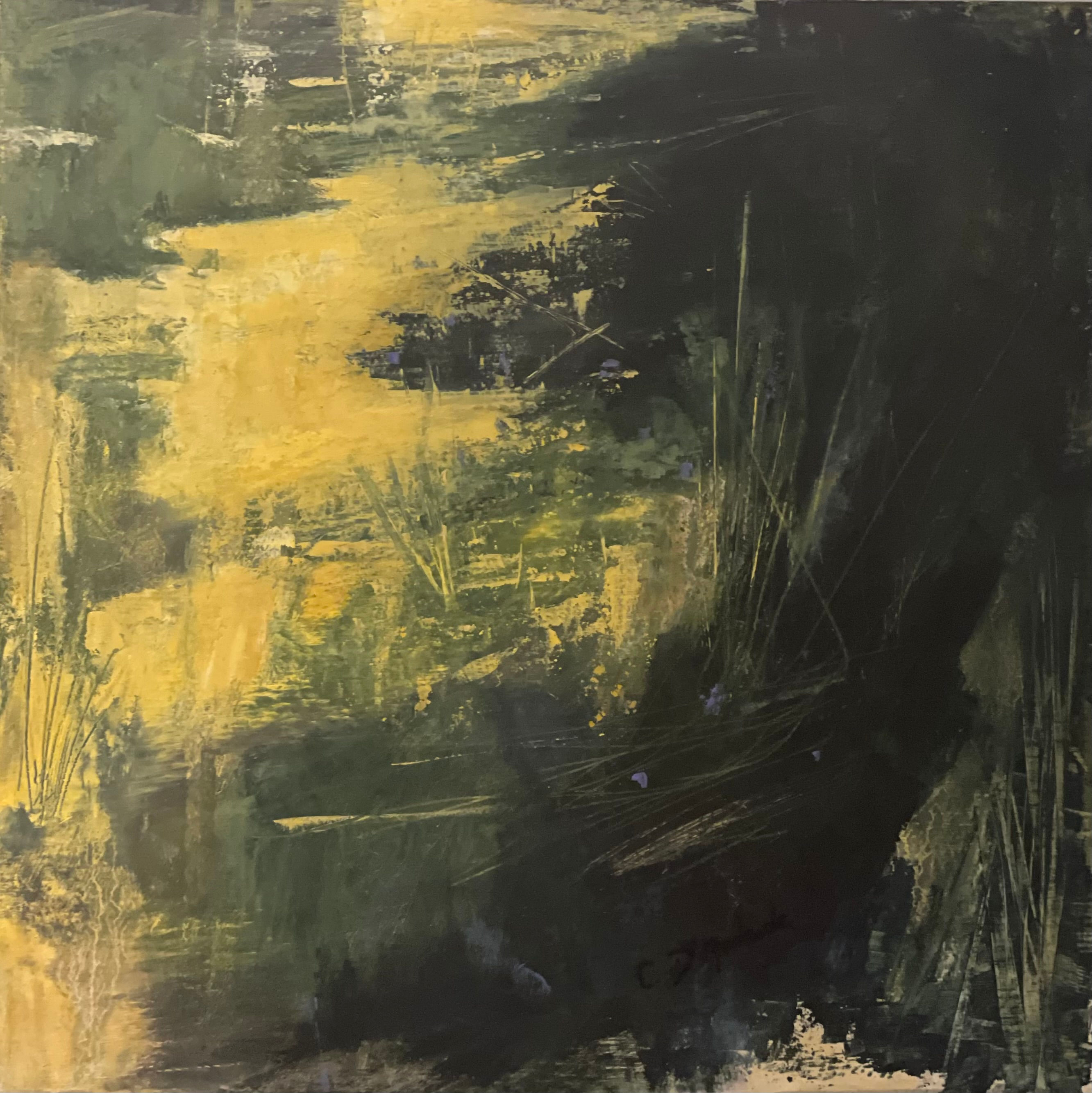 Paysage d'un marais ''Lumière Envoutante 3'' par l'artiste Chantal D'An