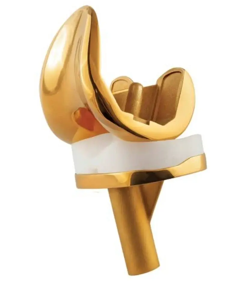 Total Knee Replacement