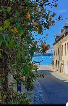 Screenshot_20250922_131338_Google (1).jpg