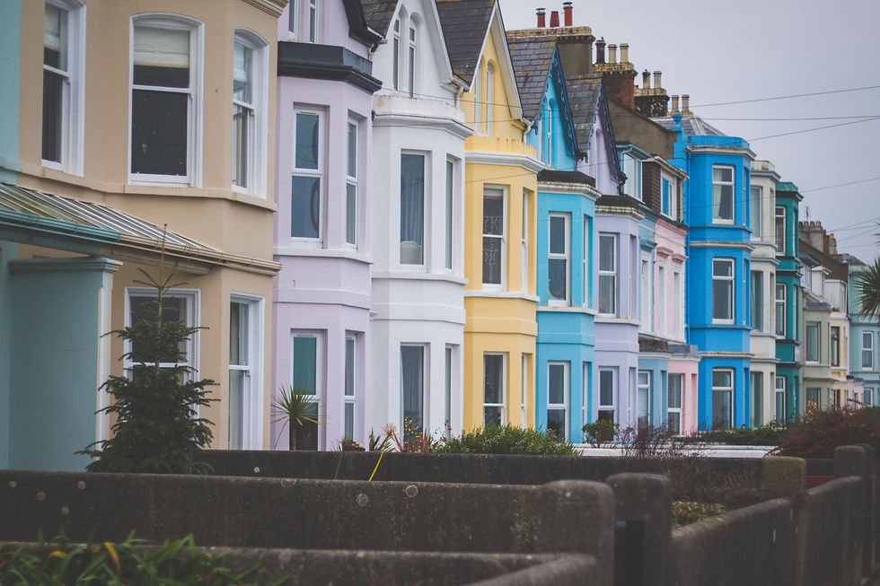 House Colour Consultant Wellington: Create a Colour Scheme You’ll Love Coming Home To