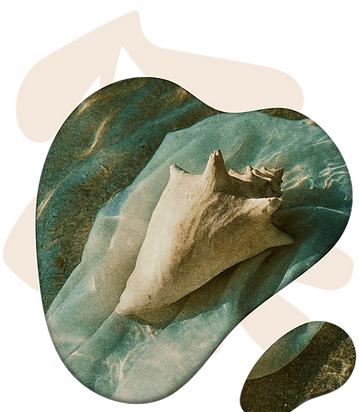 13.png