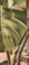 3abb40acd3d75c542dc23cc2af4f679e.jpg