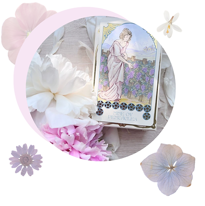 Spring Specials 2026 WEB BANNER  (1).png