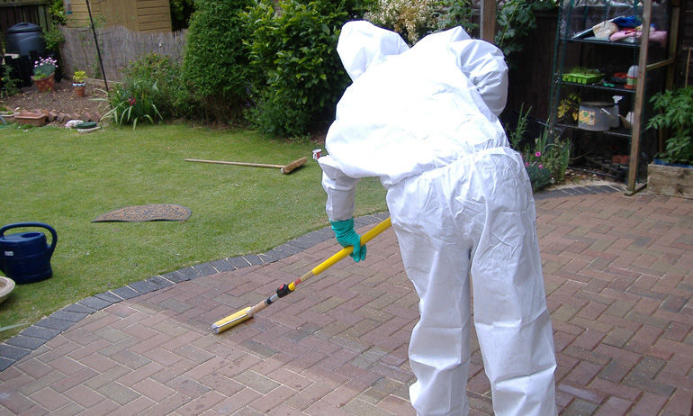 The moss removal specialists
