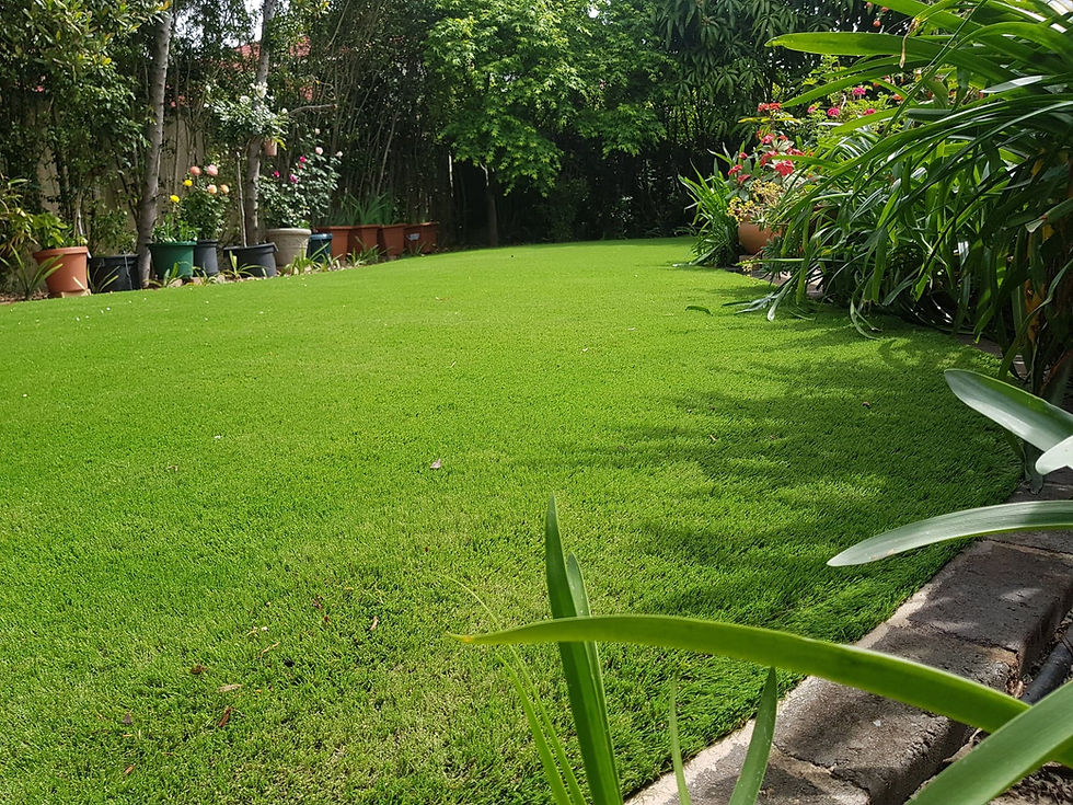 Front Page ABout Us.jpg