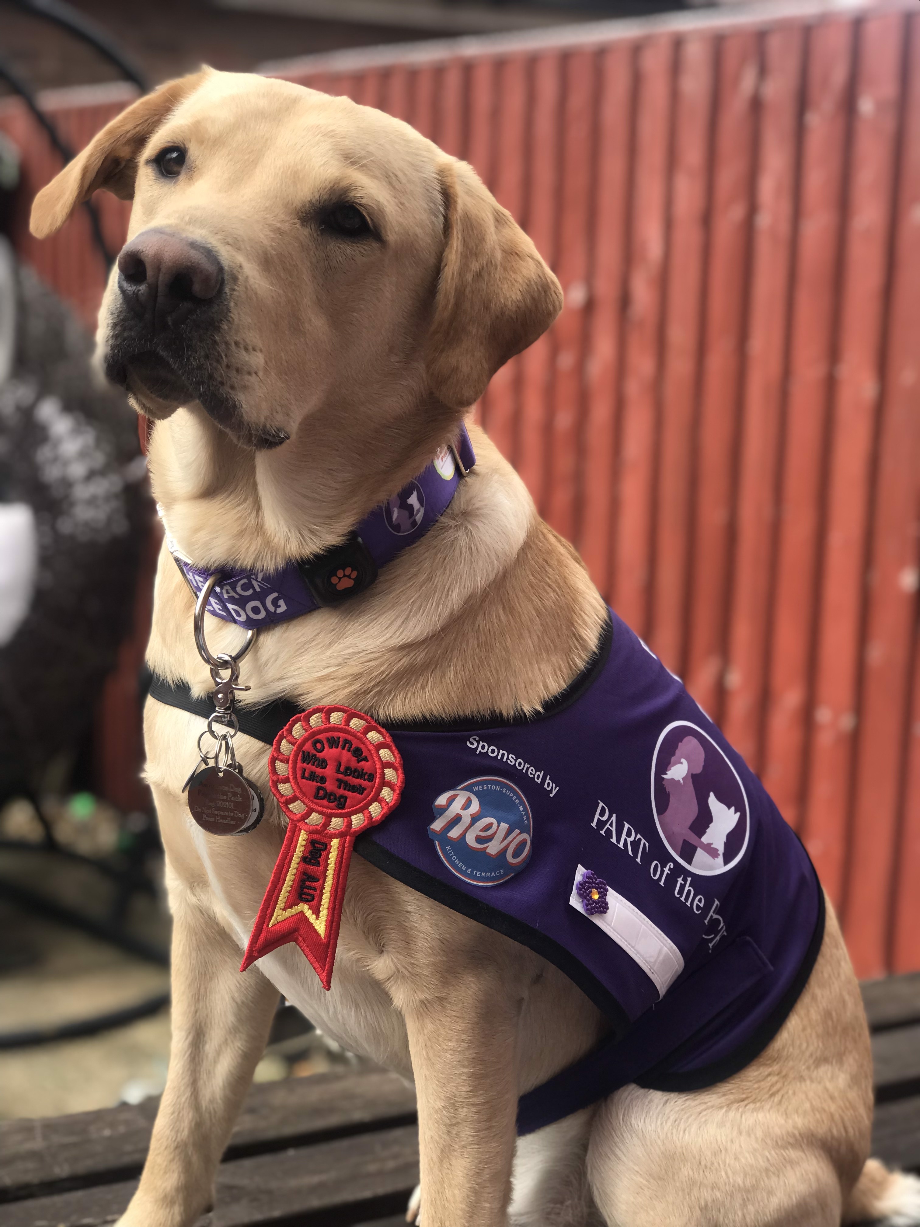 I recommend Part of the Pack assistance dogs for all disabilities