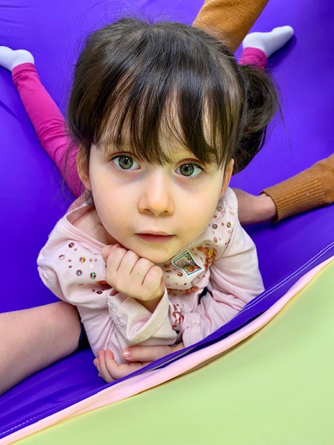 Hannah and Harper's Wheelchair Journey