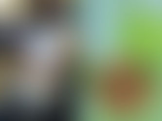 My 'Modeling' Journey