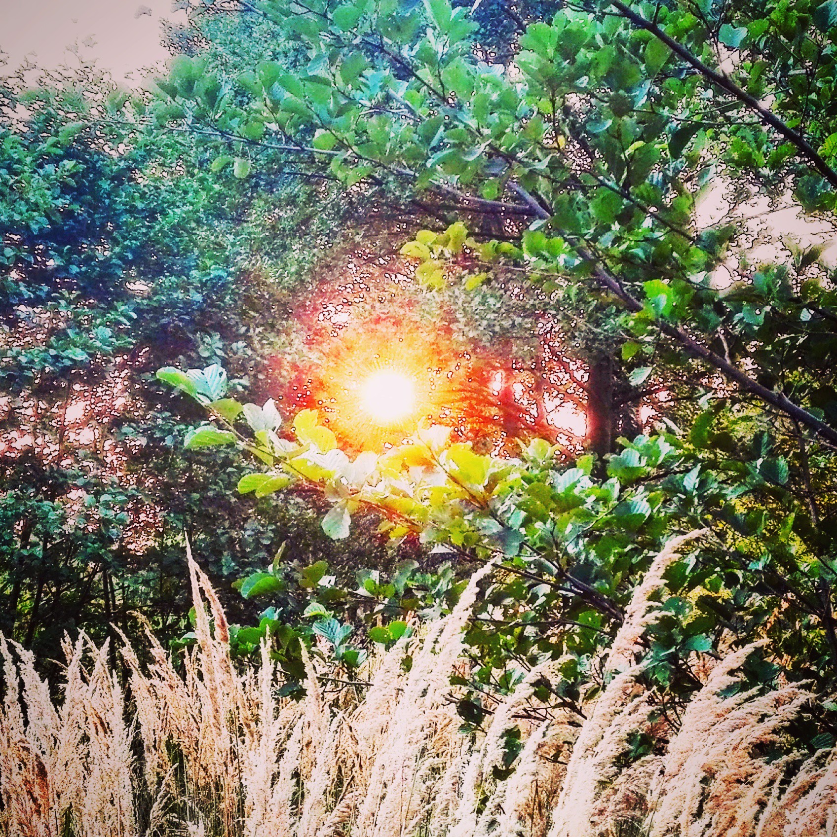 How to improve your self-esteem and life with a disability