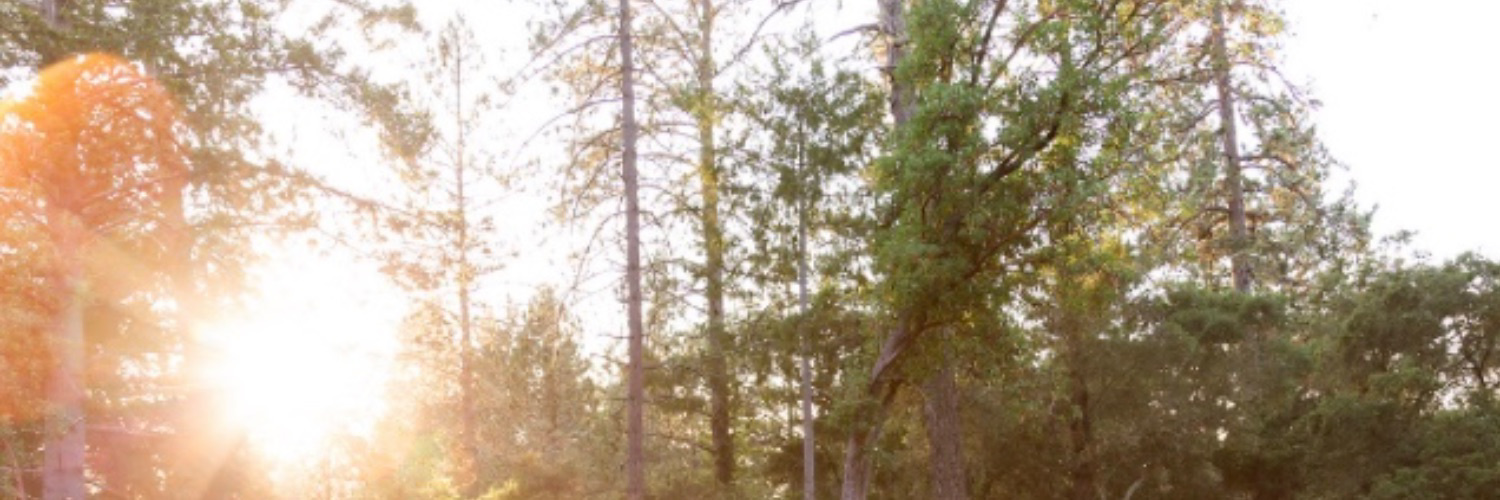 Embracing Your Disability with Ulcerative Colitis