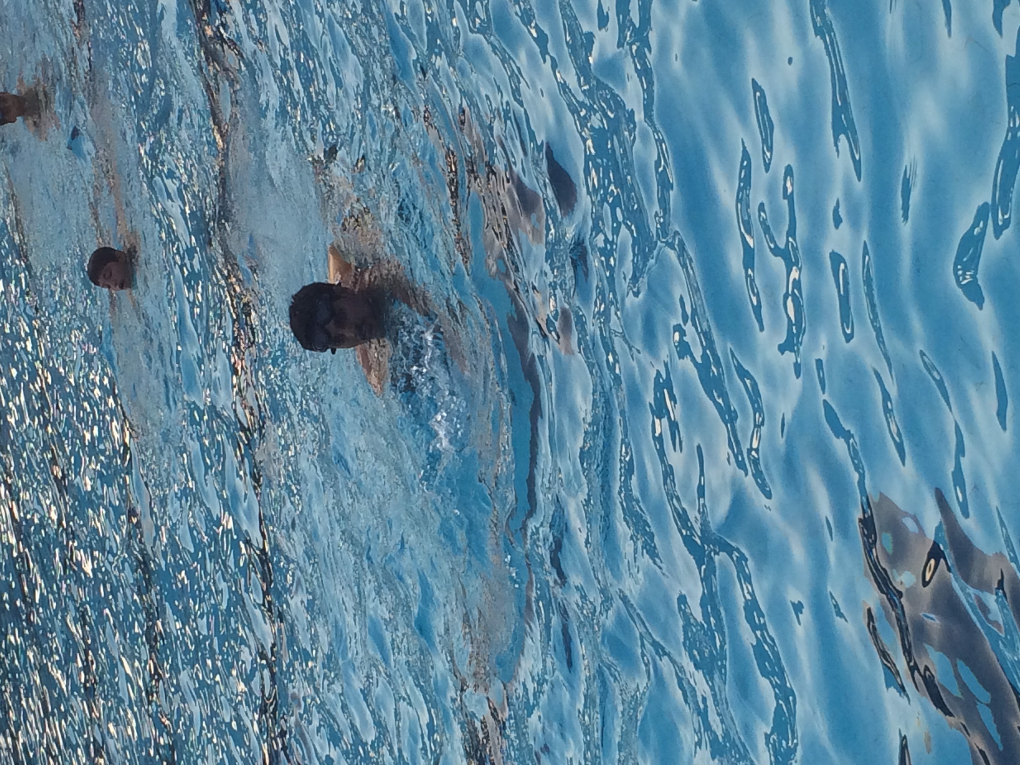 The Diamond in the Rough: A Polio Survivor's Story