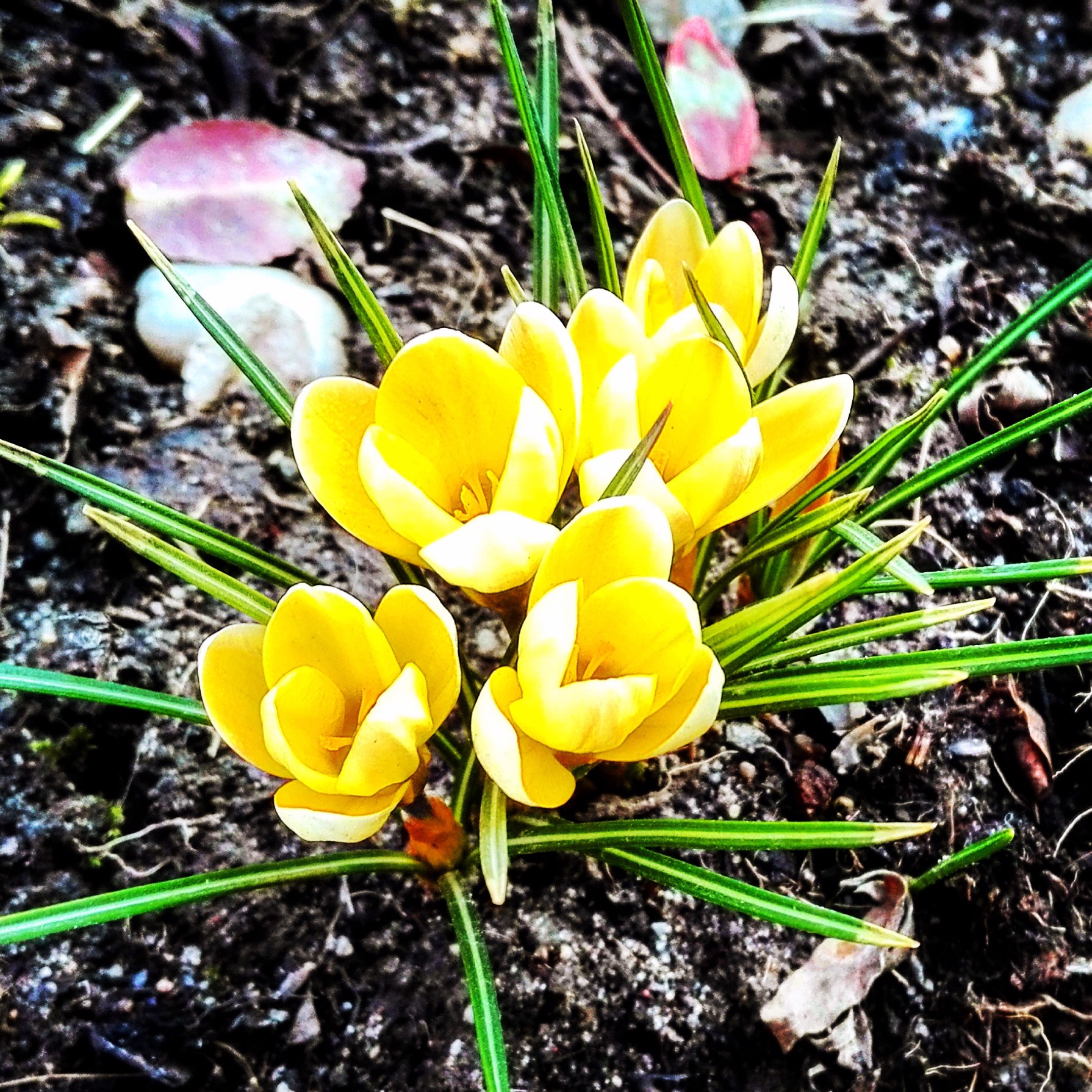 How to improve your self-esteem and life with a disability