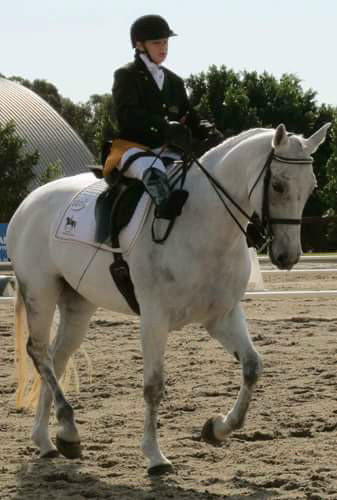 My Journey - Susan Seipel