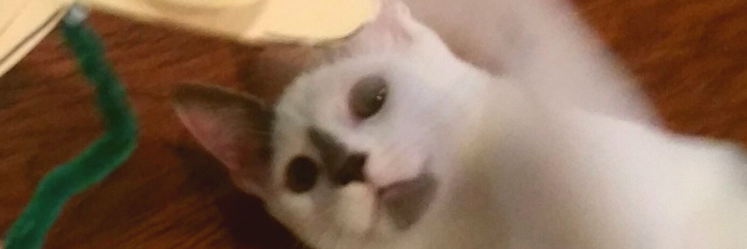 Disabled and Cosplaying