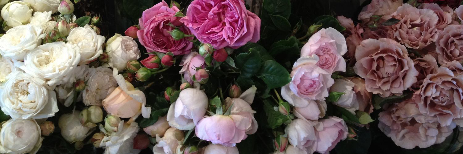 The Best Is Yet To Come