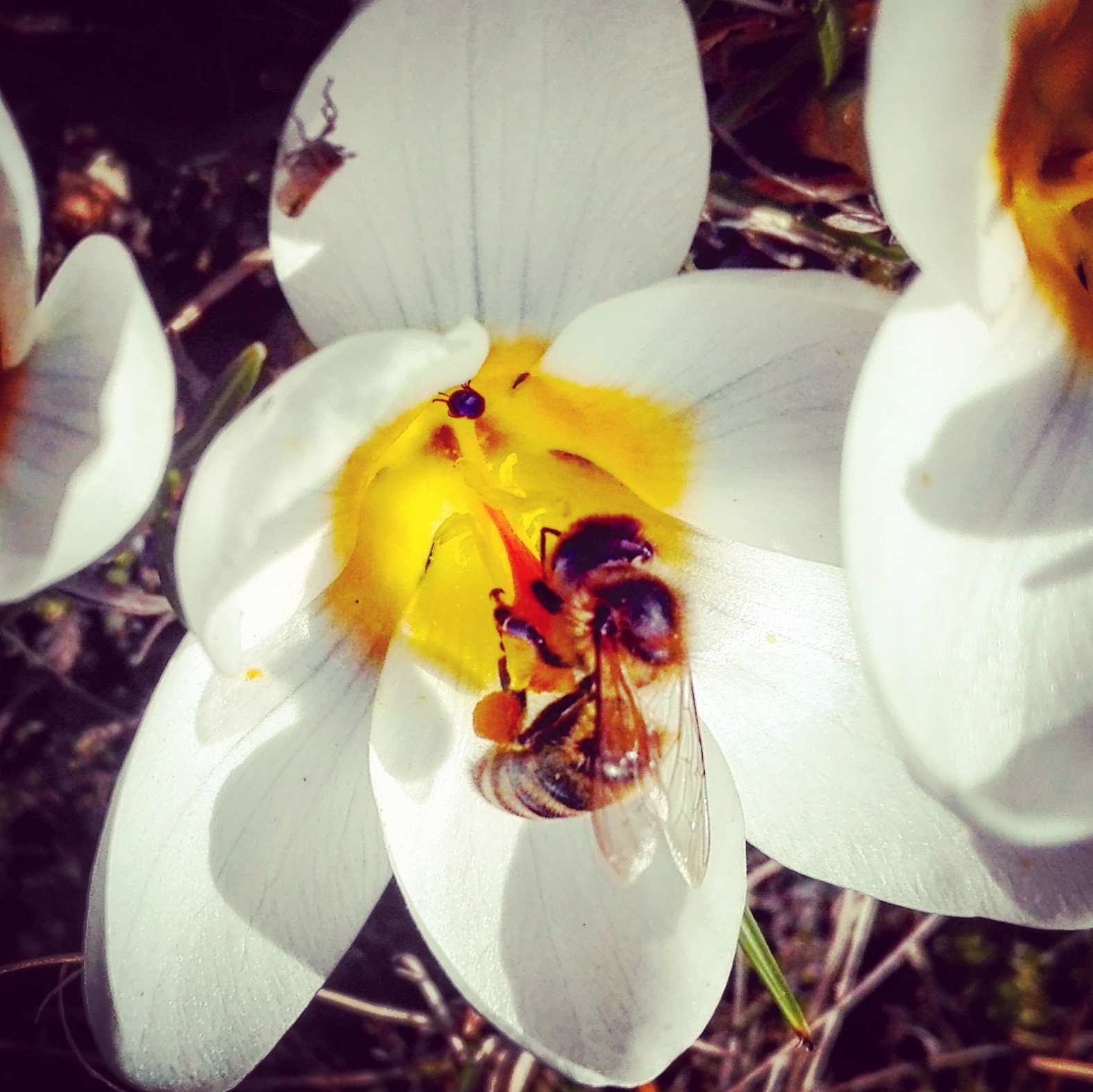 How to improve your self-esteem and life with a disability