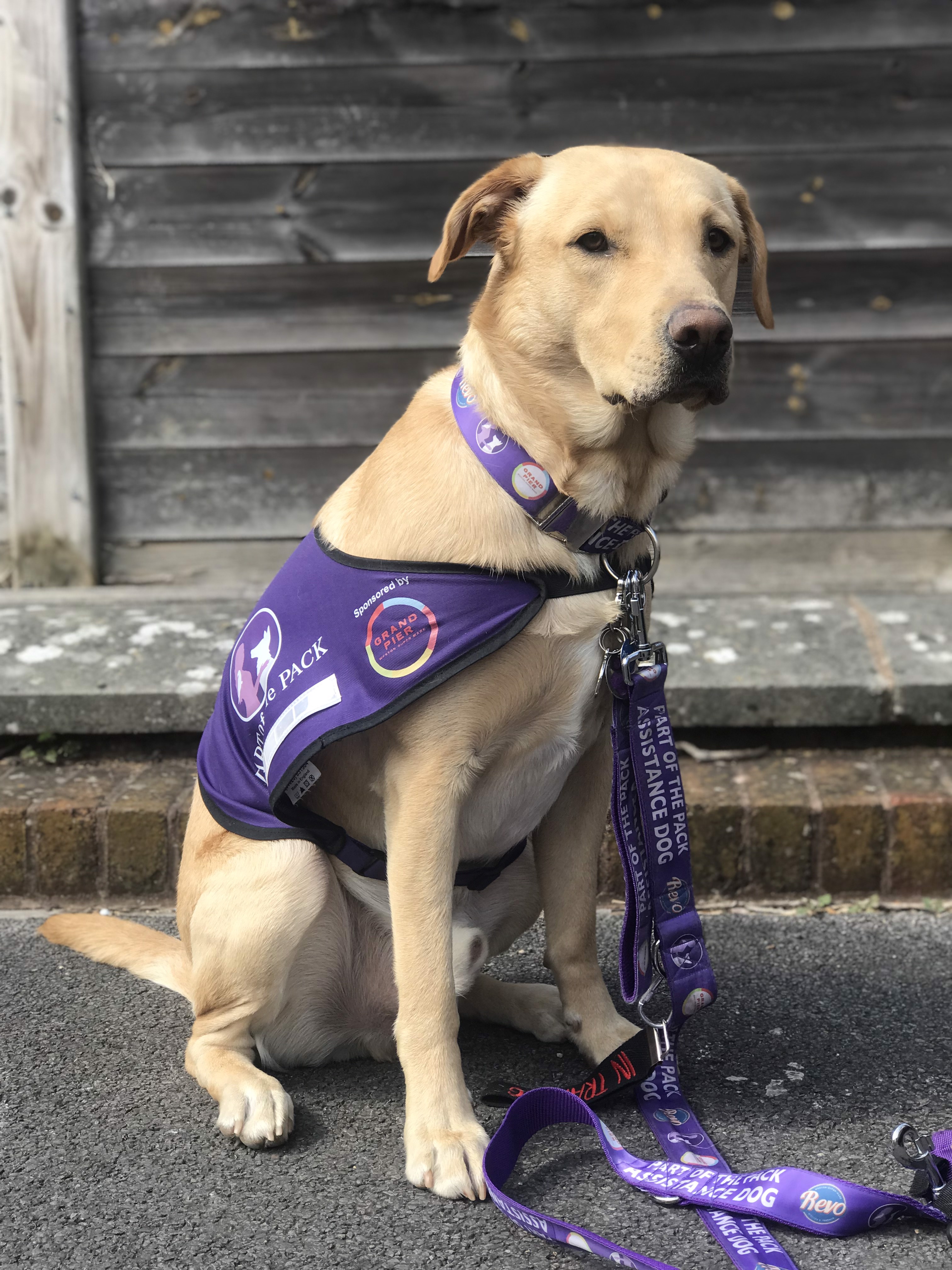 I recommend Part of the Pack assistance dogs for all disabilities