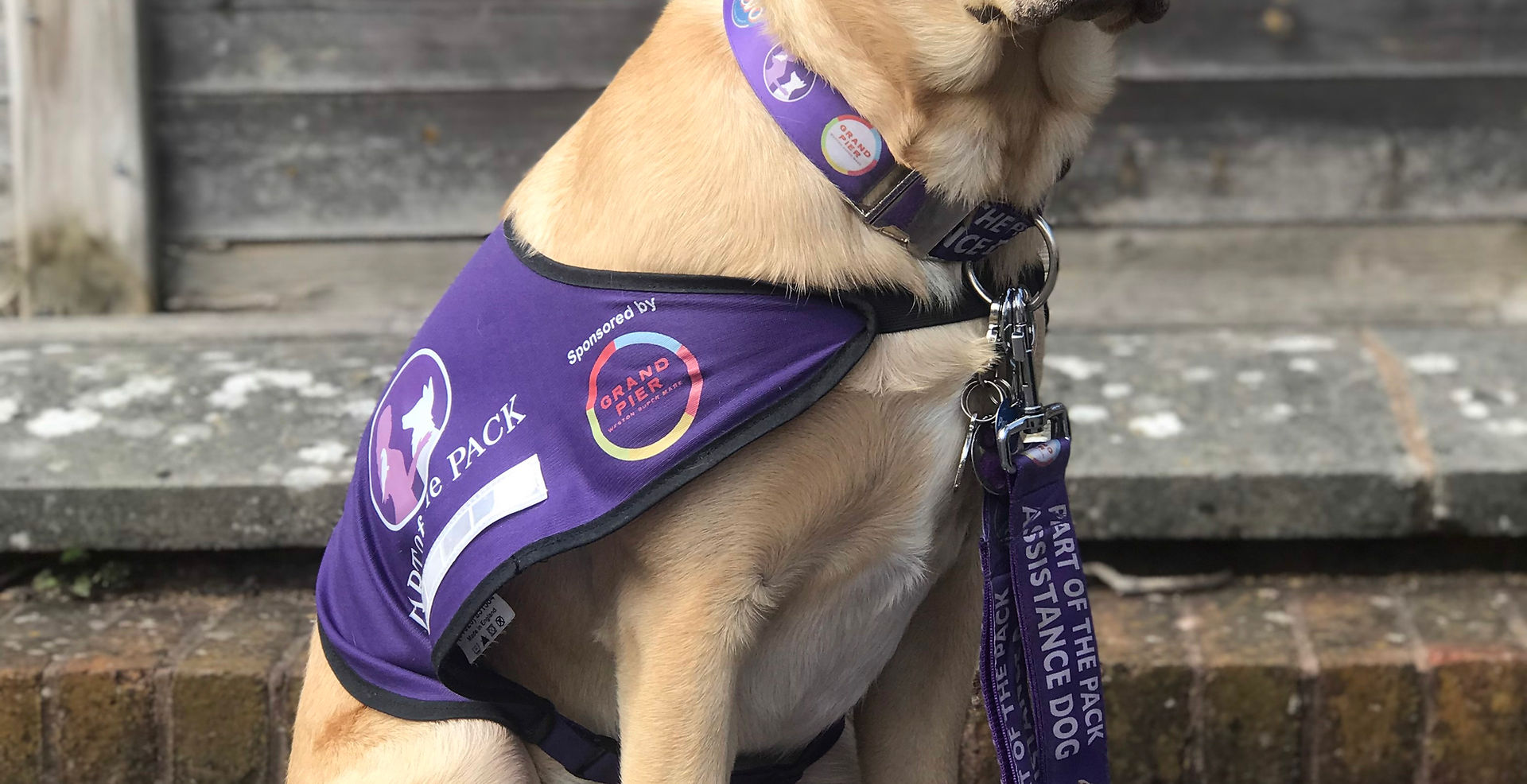 I recommend Part of the Pack assistance dogs for all disabilities