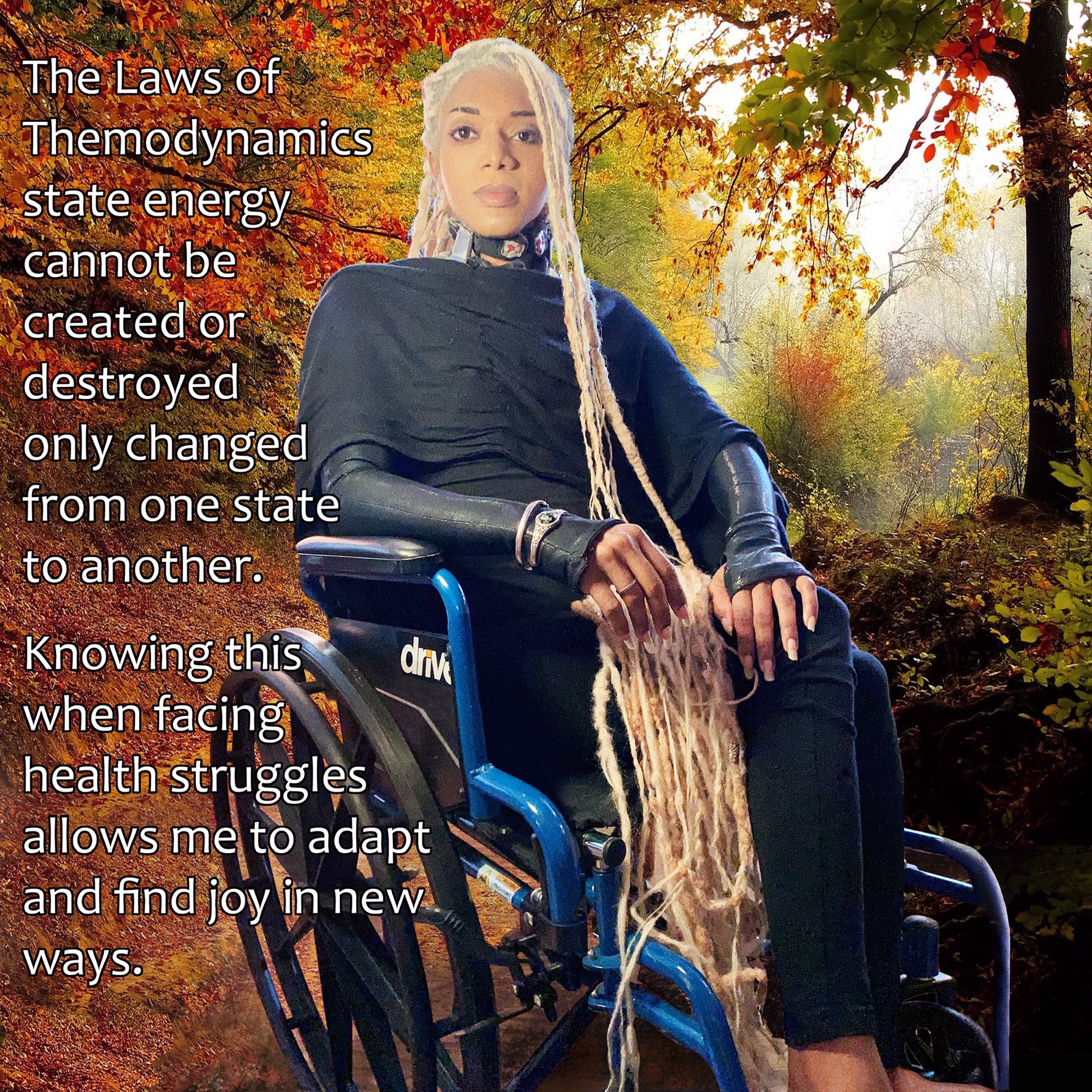 The journey of Tarik Rever