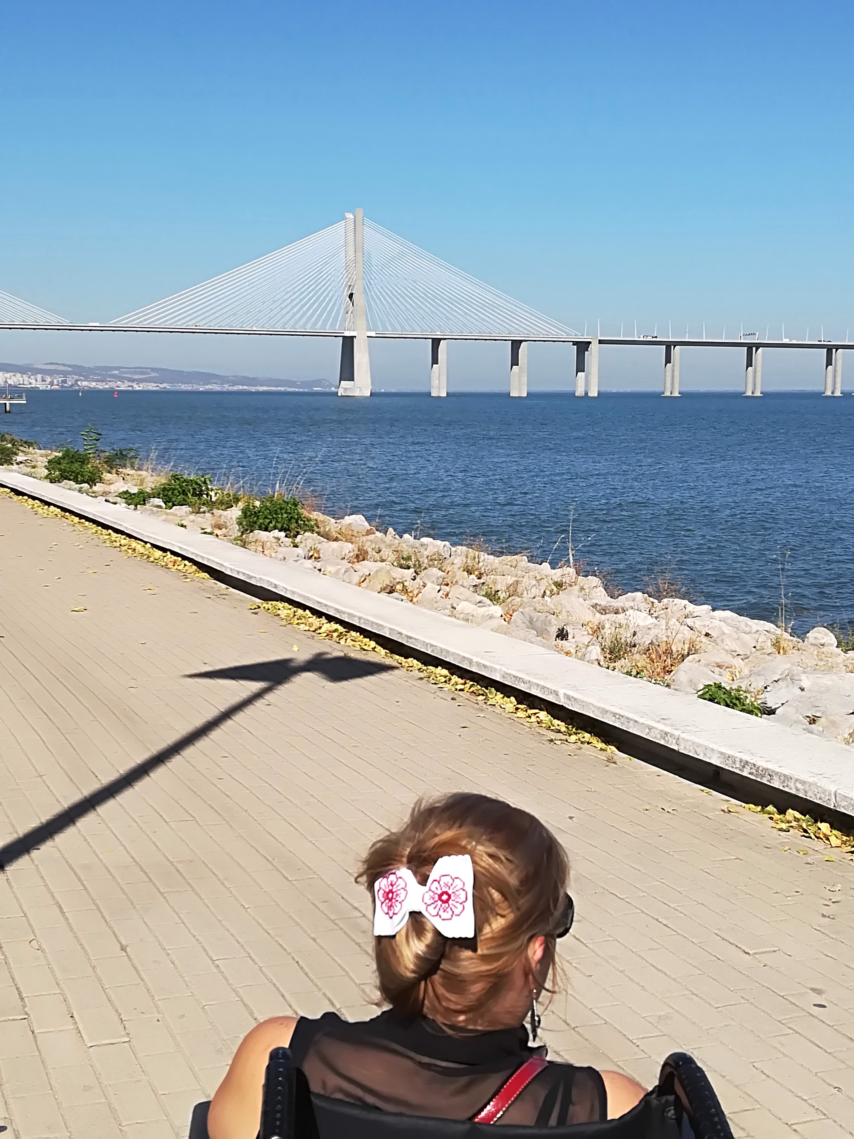 Fulfilling Dreams with my Wheelchair on the Road