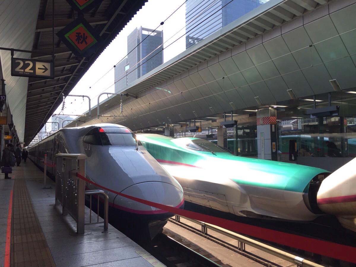 Out & About In My Wheelchair