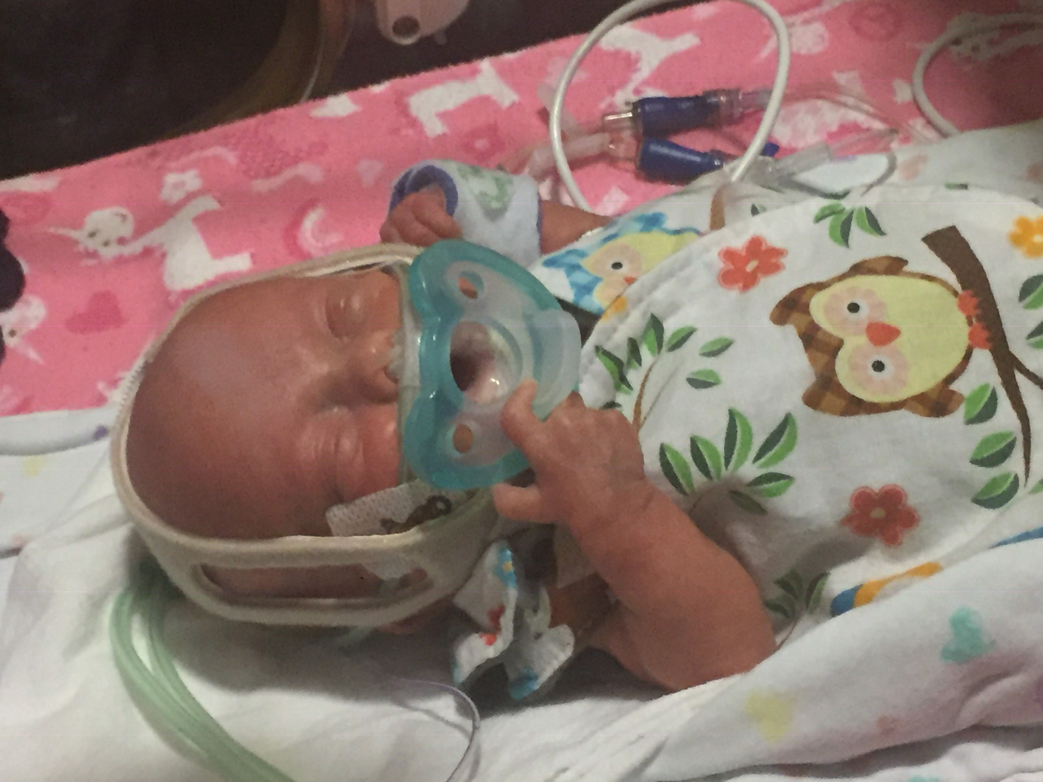 Lily’s Little Lungs